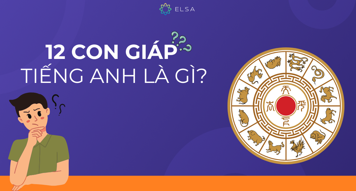 12 con giáp tiếng Anh là gì? Từ vựng về 12 con giáp