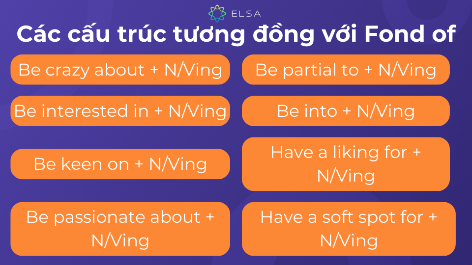 Các cấu trúc có thể thay thế cho Fond of Các cấu trúc có thể thay thế cho Fond of