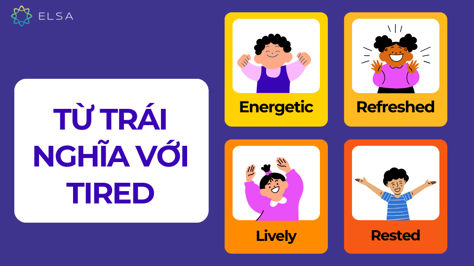 Các từ trái nghĩa với tired Các từ trái nghĩa với tired