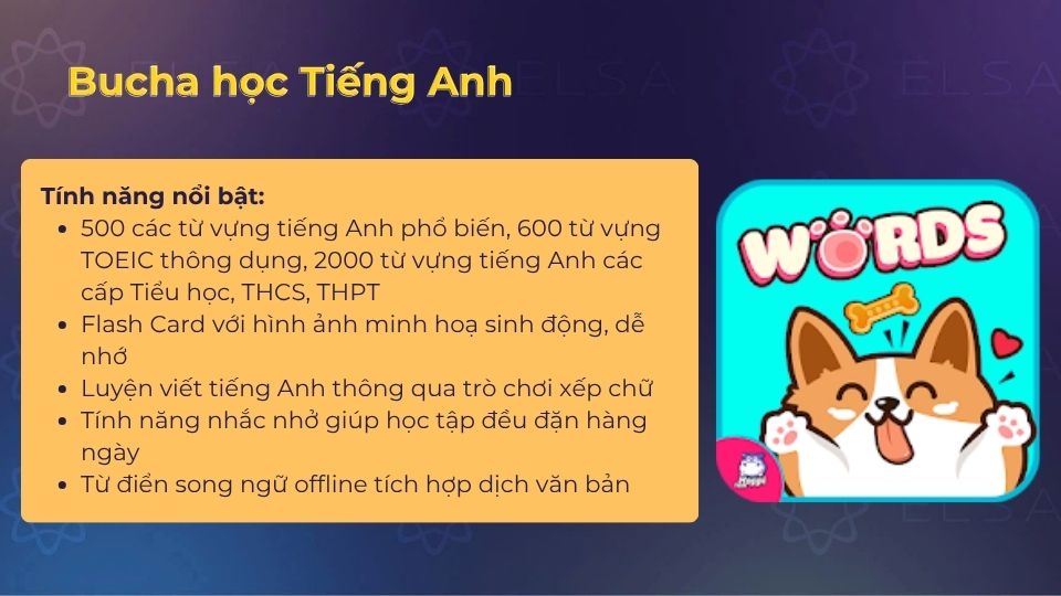 App luyện viết tiếng Anh Bucha học tiếng Anh