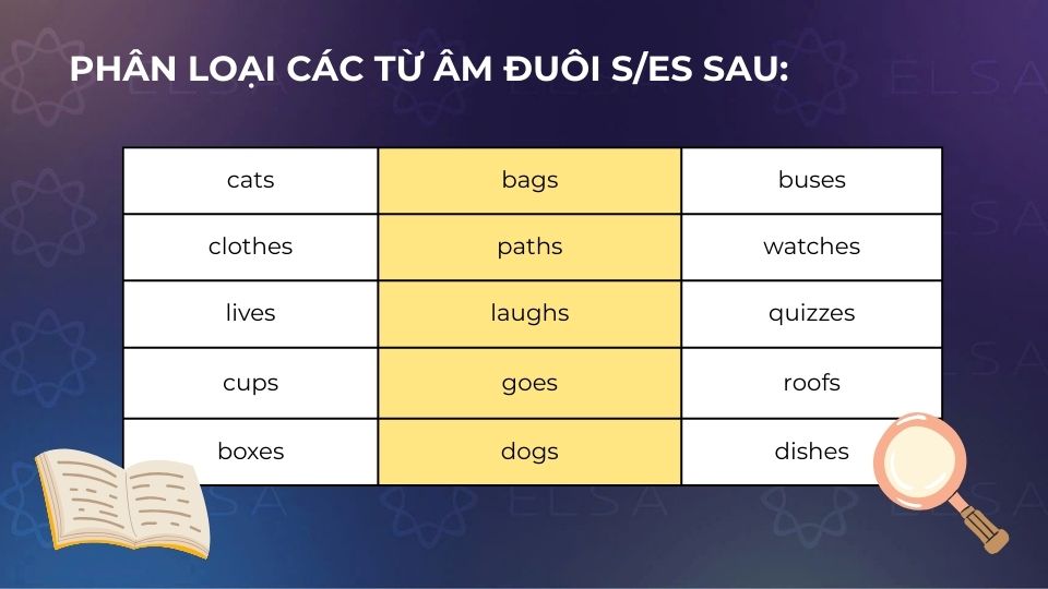 Phân loại các từ có âm đuôi s/es