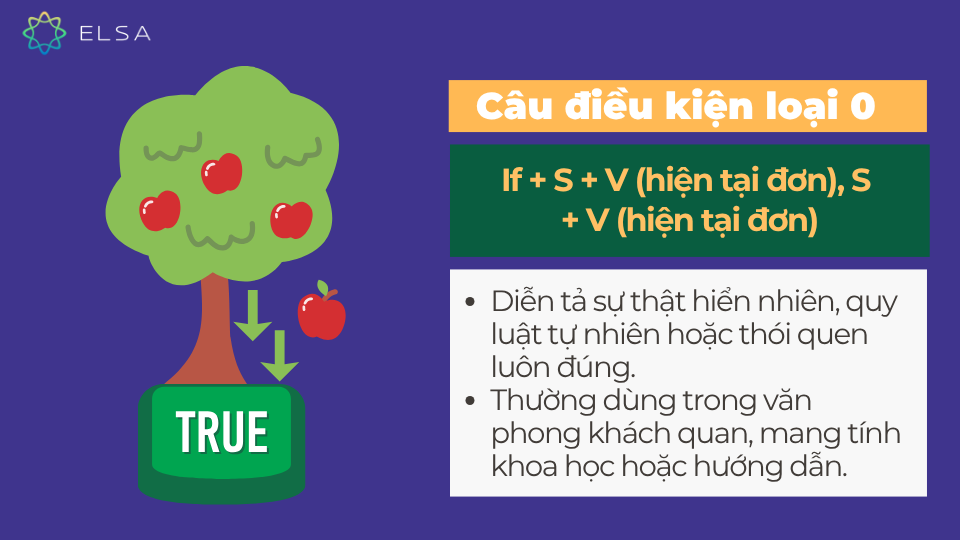 Câu điều kiện loại 0