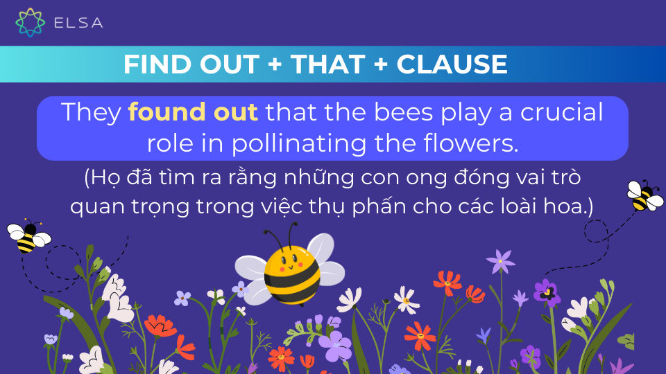 Câu ví dụ cấu trúc Find out + that + clause Câu ví dụ cấu trúc Find out + that + clause