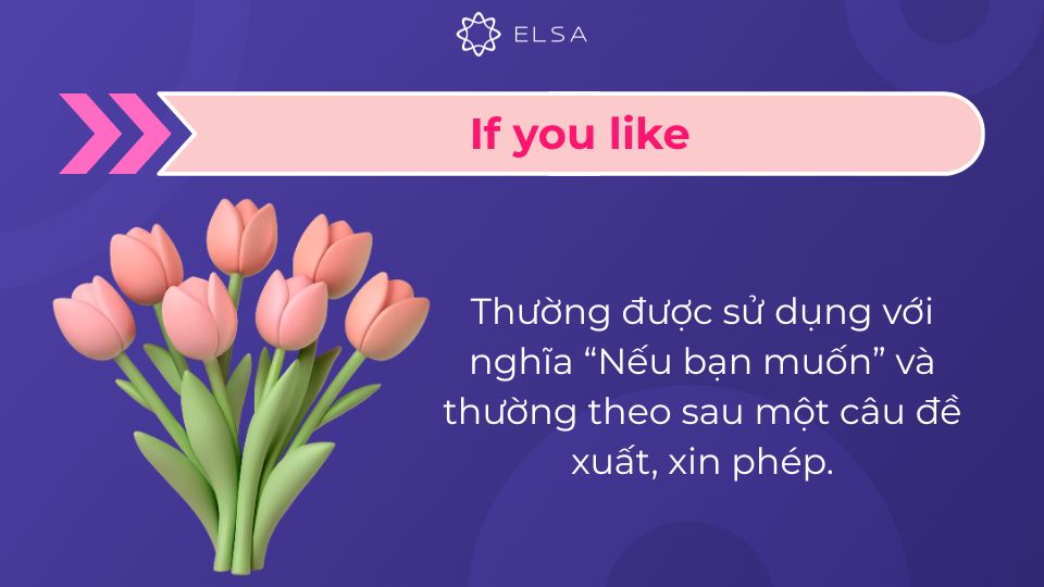 If you like thường theo sau một câu đề xuất, xin phép If you like thường theo sau một câu đề xuất, xin phép