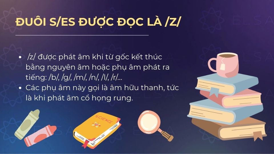 Đuôi s/es được đọc là /z/