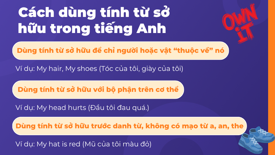 Cấu trúc tính từ sở hữu trong câu