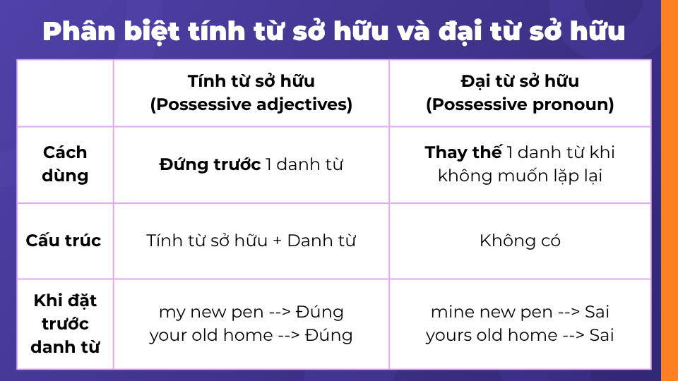 Tránh các lỗi sai phổ biến với tính từ sở hữu