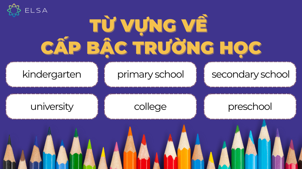 Từ vựng chủ đề Education về cấp bậc trường học Từ vựng chủ đề Education về cấp bậc trường học