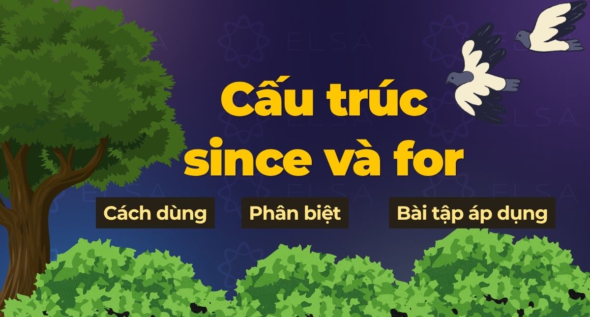 Cấu trúc since và for: Cách dùng, phân biệt, bài tập áp dụng