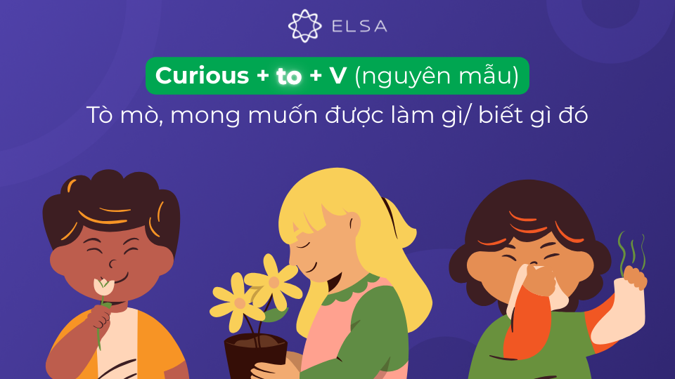 Cấu trúc curious đi với giới từ to