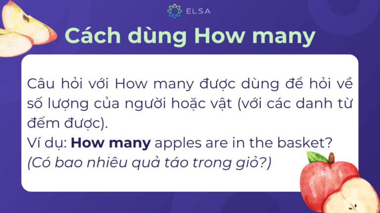 You How Many How many: Cấu trúc, cách dùng và phân biệt với How much
