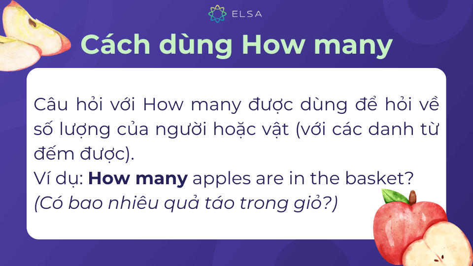 How many được dùng để hỏi về số lượng của người hoặc vật - danh từ đếm được How many được dùng để hỏi về số lượng của người hoặc vật - danh từ đếm được