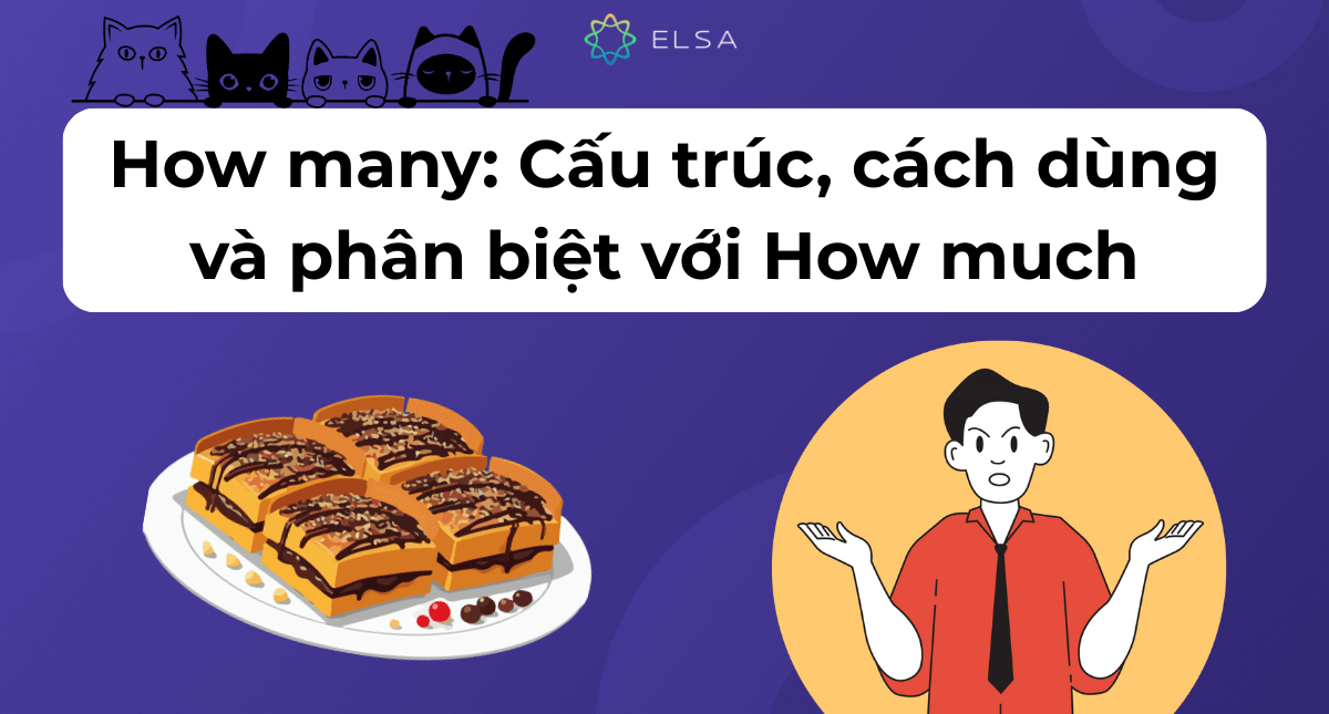 How many: Cấu trúc, cách dùng và phân biệt với How much