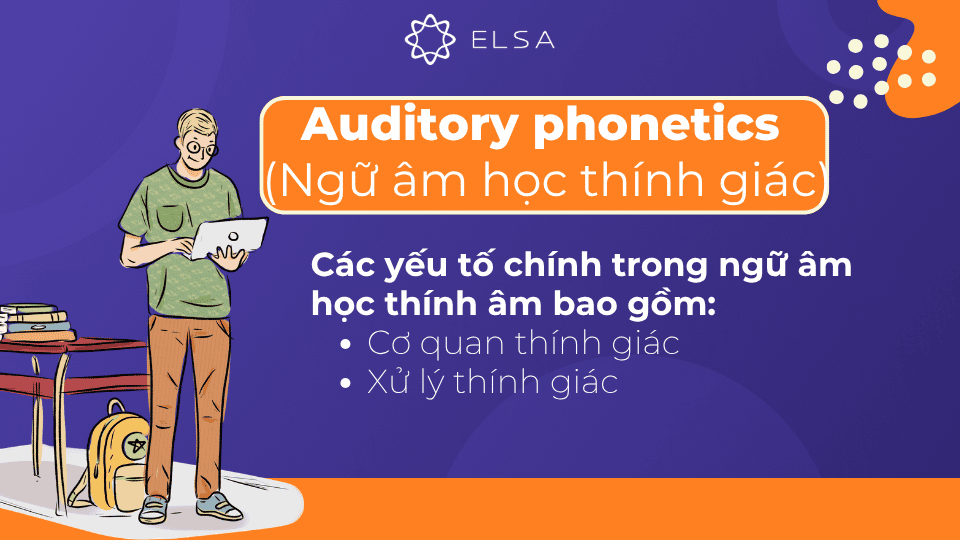 Ngữ âm học thính giác (Auditory Phonetics) tập trung vào cách mà tai và não bộ tiếp nhận và xử lý âm thanh Ngữ âm học thính giác (Auditory Phonetics) tập trung vào cách mà tai và não bộ tiếp nhận và xử lý âm thanh