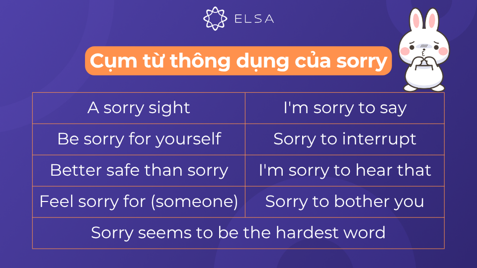 Một số cụm từ đi kèm với sorry phổ biến Một số cụm từ đi kèm với sorry phổ biến