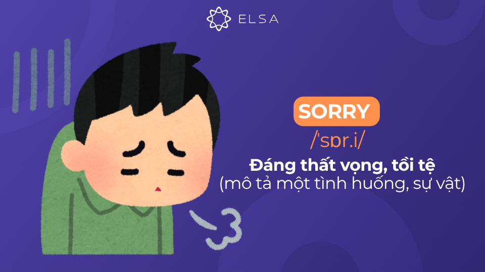 Sorry có nghĩa là đáng thất vọng, tồi tệ (mô tả một tình huống, sự vật) Sorry có nghĩa là đáng thất vọng, tồi tệ (mô tả một tình huống, sự vật)