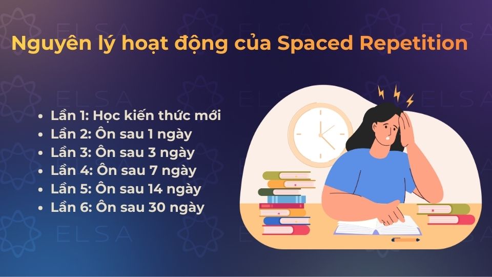 Nguyên lý hoạt động của Spaced Repetition