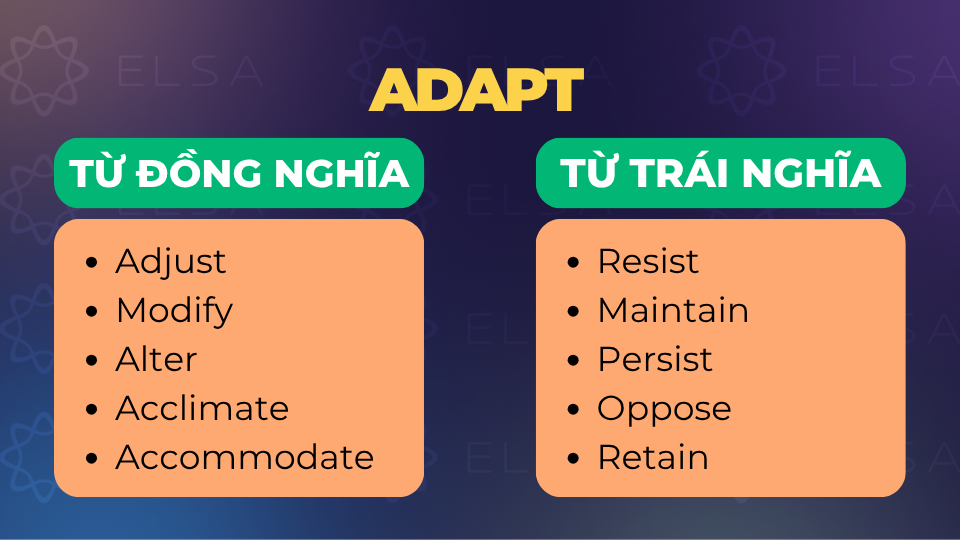 Từ đồng nghĩa và trái nghĩa với adapt Từ đồng nghĩa và trái nghĩa với adapt