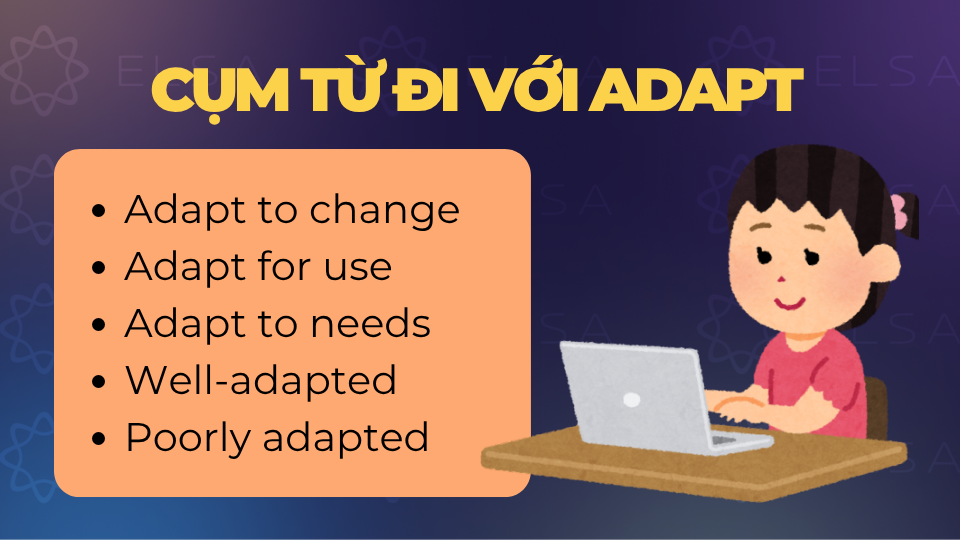 Các cụm từ phổ biến đi với adapt Các cụm từ phổ biến đi với adapt