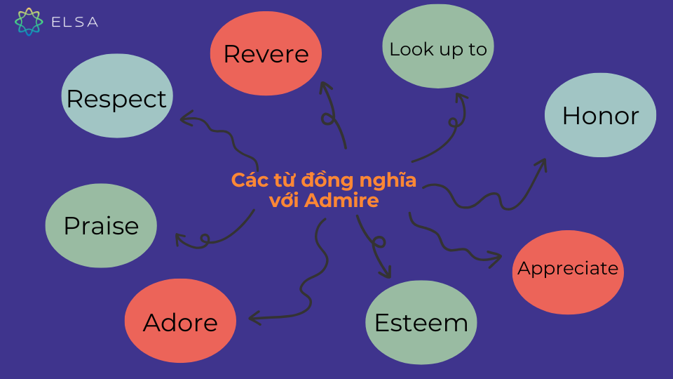 Một số từ đồng nghĩa với admire Một số từ đồng nghĩa với admire