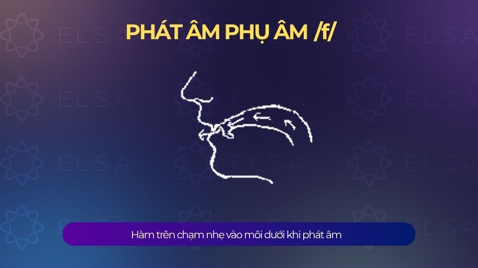 Phát âm phụ âm /f/