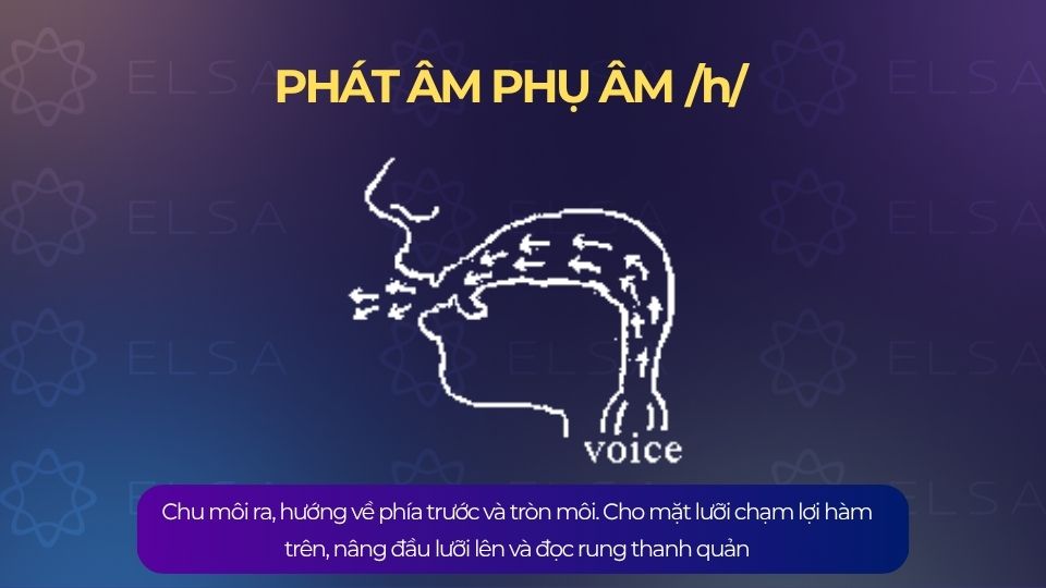 Phát âm phụ âm /h/