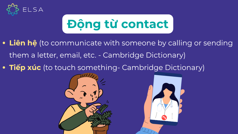 Contact có vai trò động từ