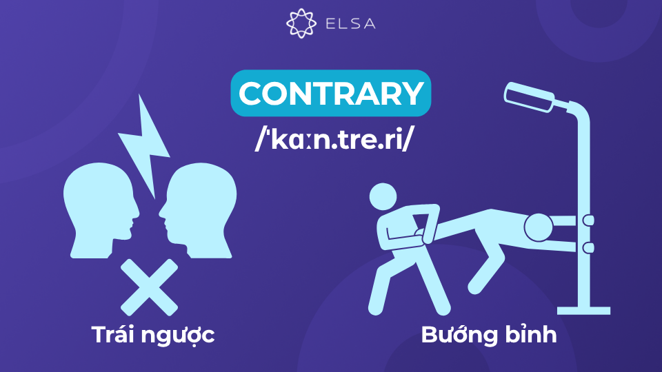 Ý nghĩa của contrary Định nghĩa Contrary là gì trong tiếng Việt
