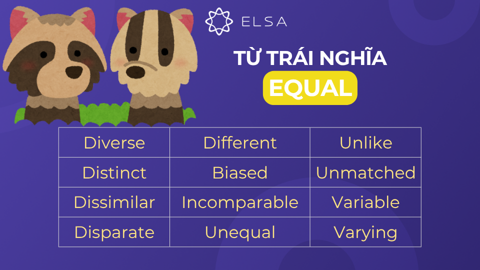 Các từ trái nghĩa với equal