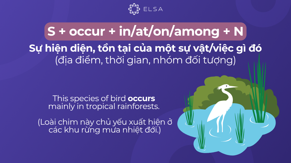 Cấu trúc S + occur + in/at/on/among + N Cấu trúc S + occur + in/at/on/among + N