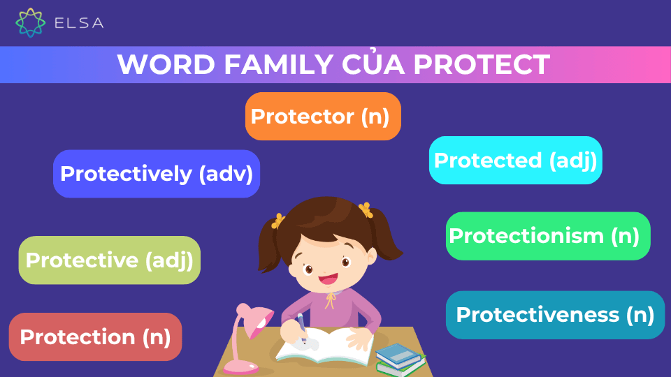 Một số word family của protect Một số word family của protect
