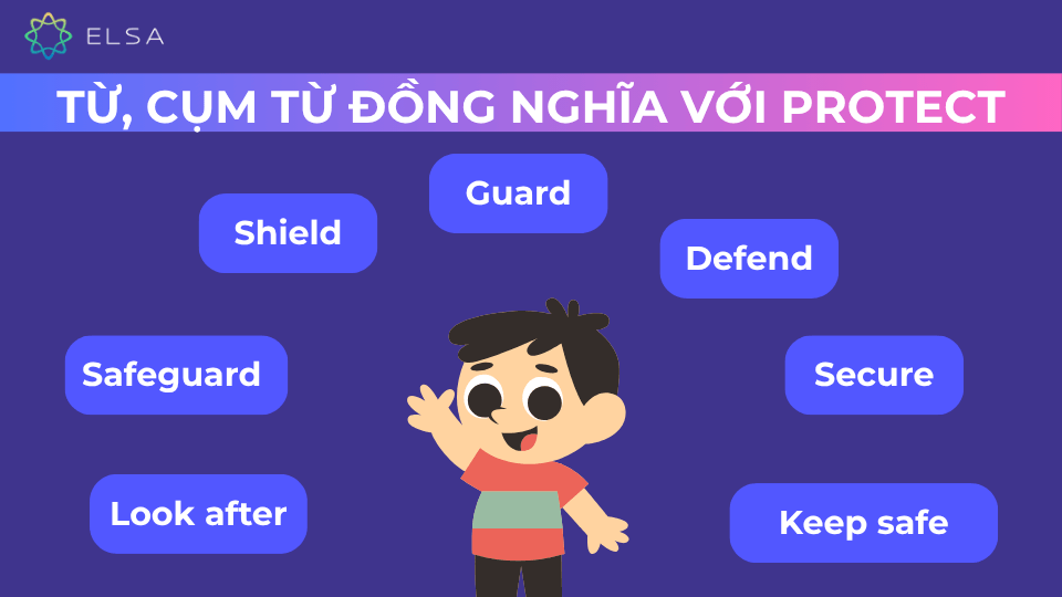 Một số từ đồng nghĩa với protect Một số từ đồng nghĩa với protect