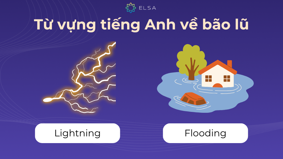 Từ vựng tiếng Anh về bão lũ vô cùng phong phú Từ vựng tiếng Anh về bão lũ vô cùng phong phú