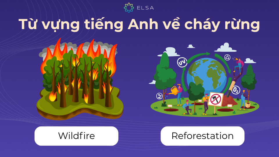 Từ vựng tiếng Anh về cháy rừng bao gồm từ vựng về thiên tai và biện pháp khắc phục Từ vựng tiếng Anh về cháy rừng bao gồm từ vựng về thiên tai và biện pháp khắc phục