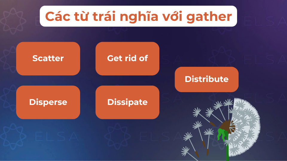 Một số từ trái nghĩa với gather