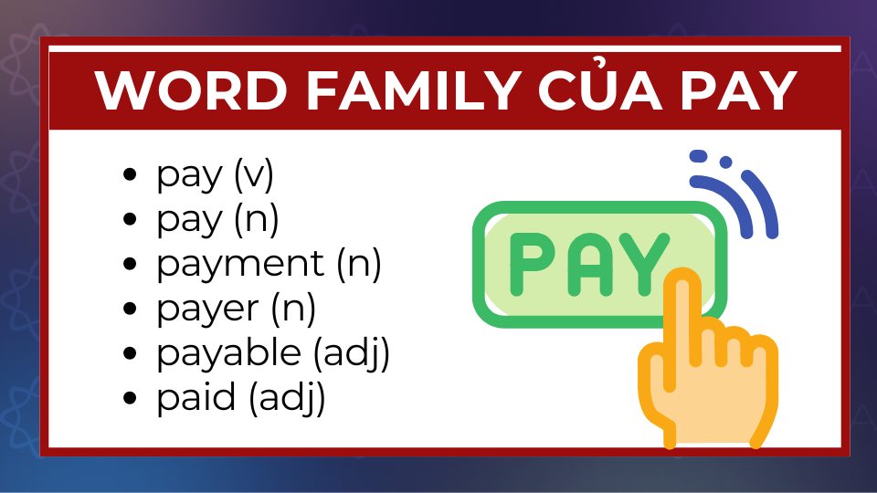 Word family của pay