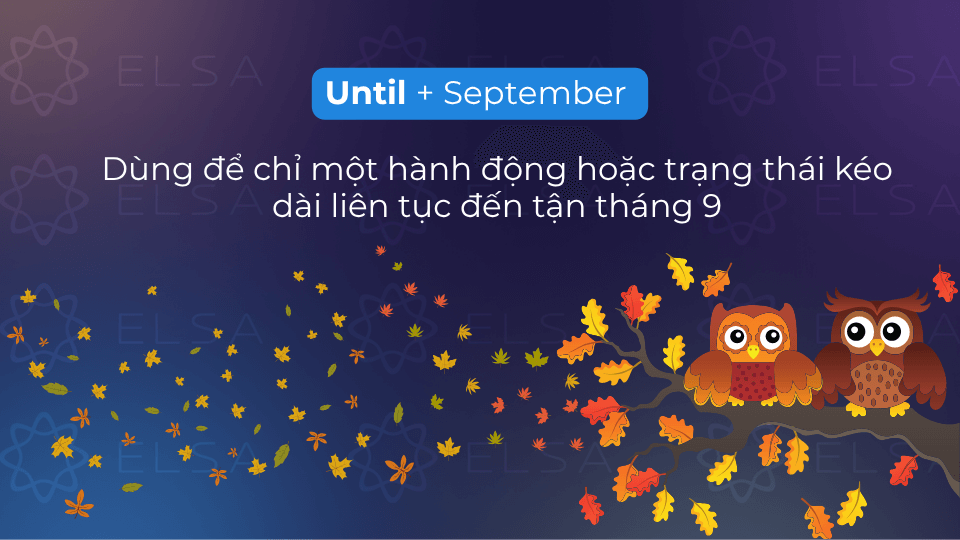 Cấu trúc september đi với until trong tiếng Anh Cấu trúc september đi với until trong tiếng Anh