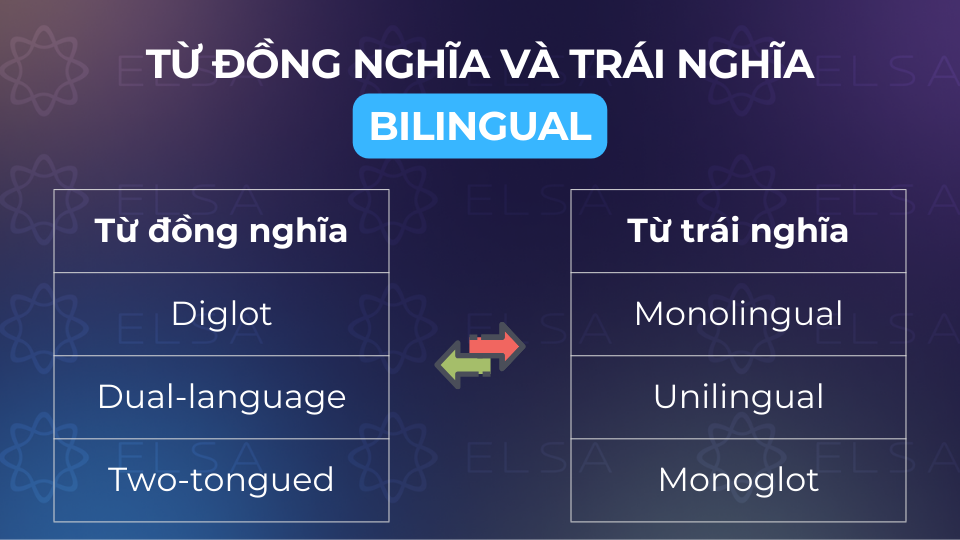 Từ đồng nghĩa và trái nghĩa với bilingual Từ đồng nghĩa và trái nghĩa với bilingual