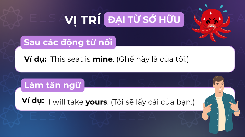 Đại từ sở hữu làm đứng sau động từ nối hoặc làm tân ngữ trong câu