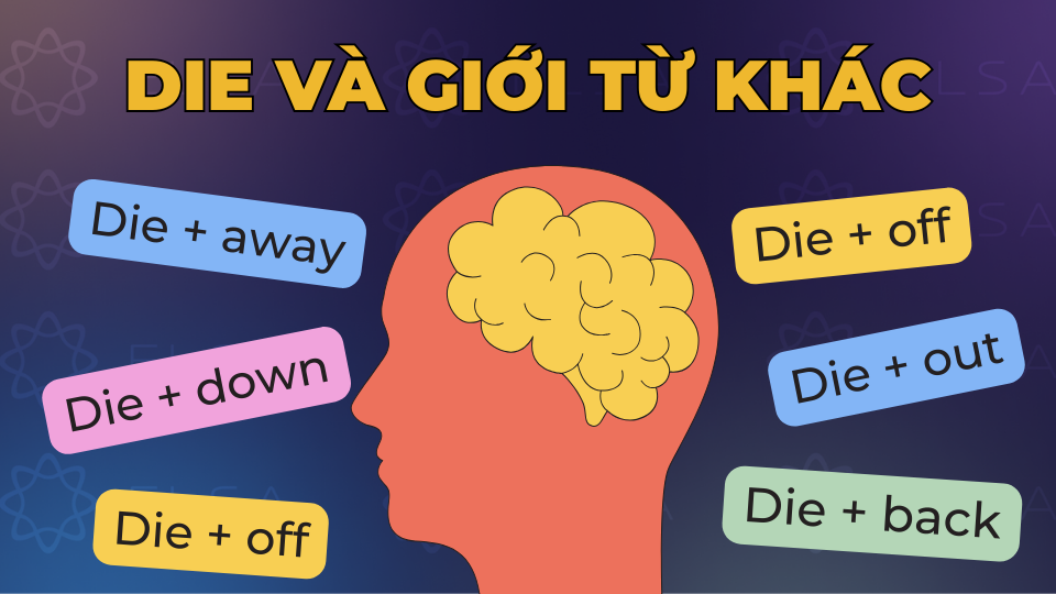 Die và giới từ khác Die và giới từ away, down, off, out và back