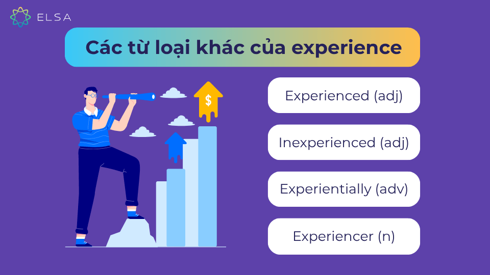 Các từ loại khác của Experience