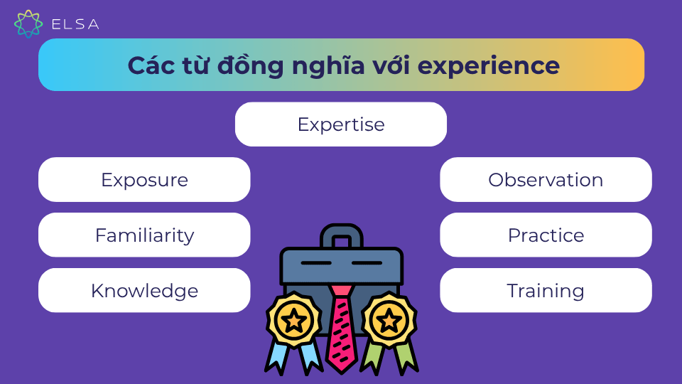 Các từ đồng nghĩa với experience