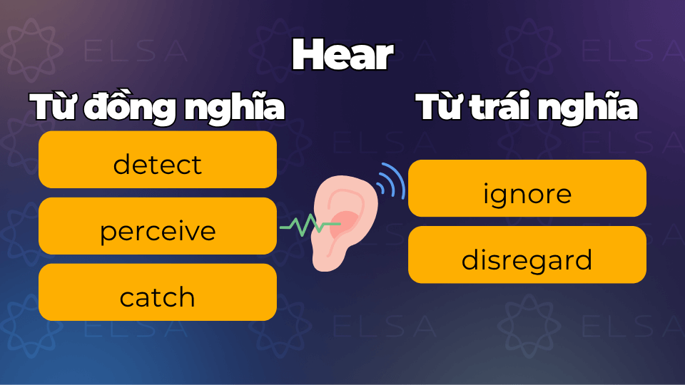 Từ đồng nghĩa và trái nghĩa với hear Từ đồng nghĩa và trái nghĩa với hear