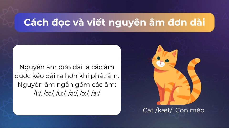 Nguyên âm đơn dài là các âm được kéo dài ra khi phát âm