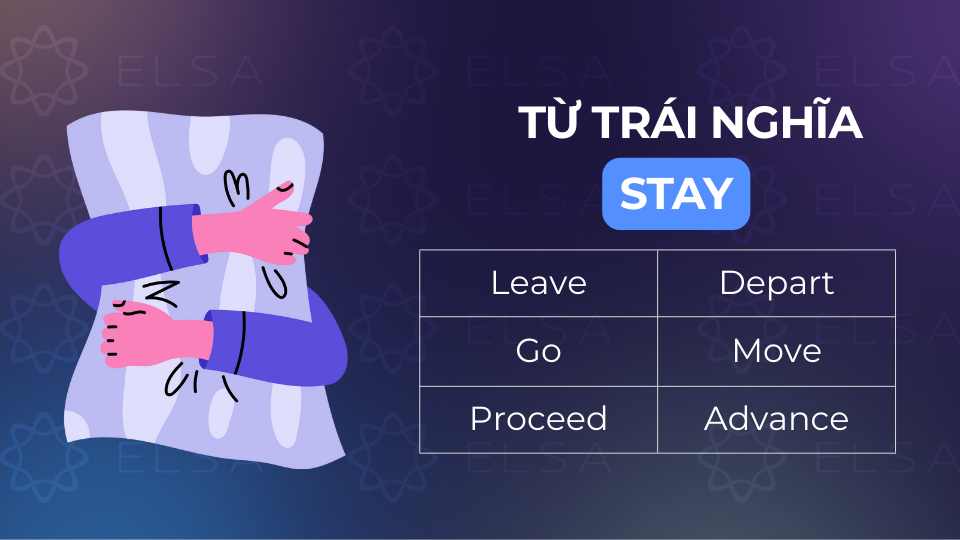 Các từ trái nghĩa với stay thường gặp Các từ trái nghĩa với stay thường gặp