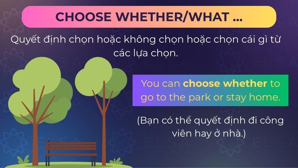 Câu ví dụ cấu trúc choose whether/what
