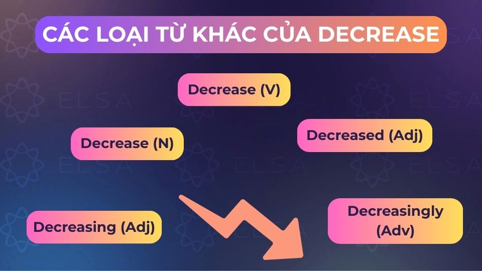 Một số loại từ khác của decrease