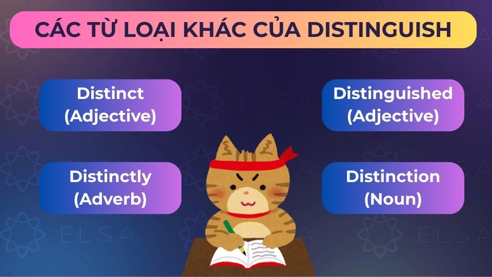 Một số từ loại khác của distinguish