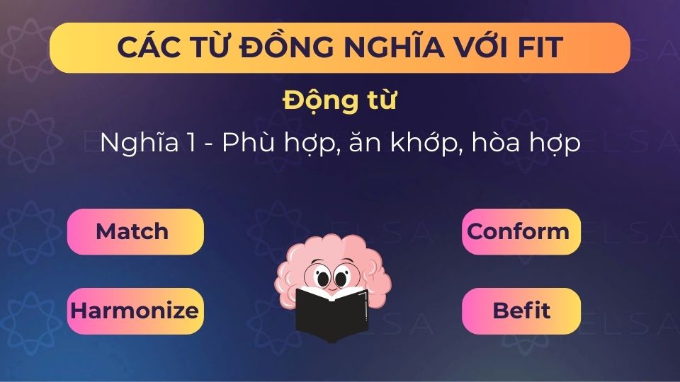 Một số từ đồng nghĩa với fit (động từ) - nghĩa 1