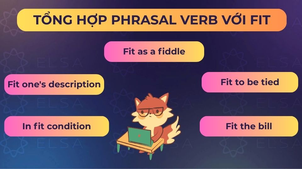 Một số phrasal verb với fit